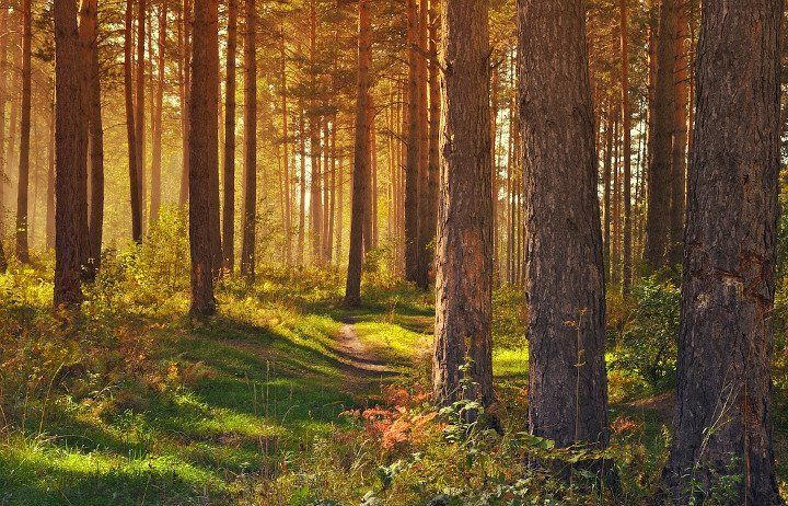 nehmen Sie sich zeit zum atmen ... Luft schmecken ... nehmen Sie sich zeit zum atmen ... Luft schmecken ...