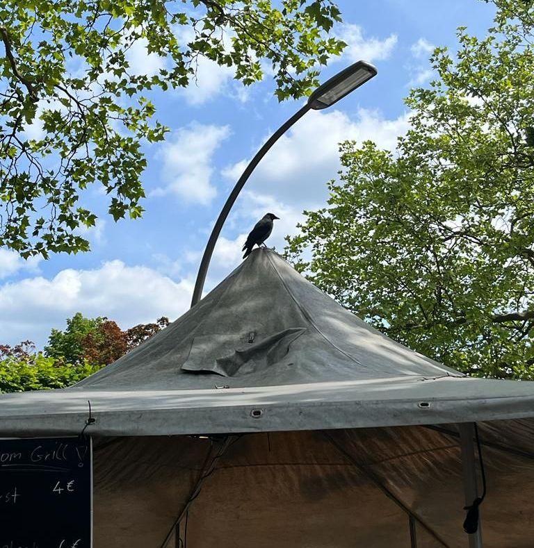 Eine Krähe sitzt auf dem Zenit eines spitzen Zeltdachs, das zu einem schönen Grillwagen gehört.