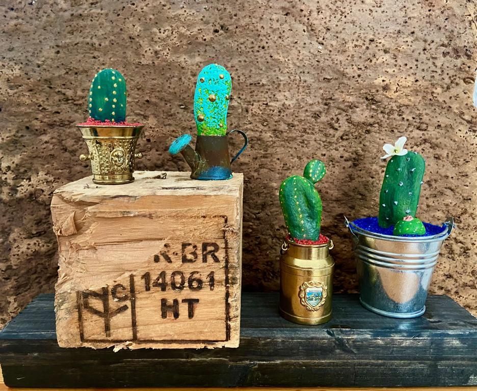 Elena Nizkovski schreibt, welche Bedeutung ein Kaktus für die Freundschaft hat. Zum Beispiel sind sie langlebig, brauchen wenig Nahrung und sind auch sonst recht genügsam.