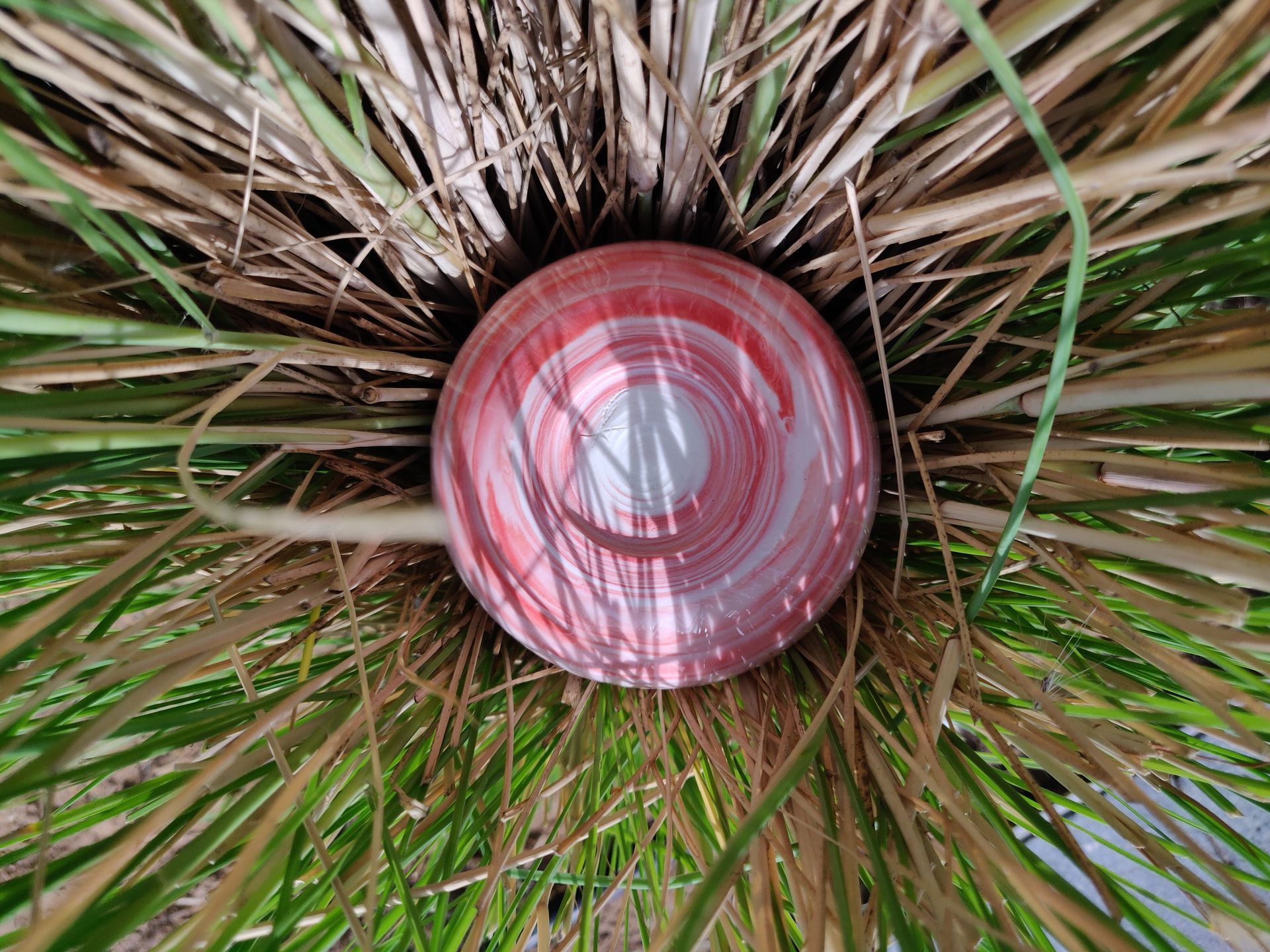 Stephanie Köstering: im Kreis angelegter roter Strich so, dass der Knopf zu drehen scheint.