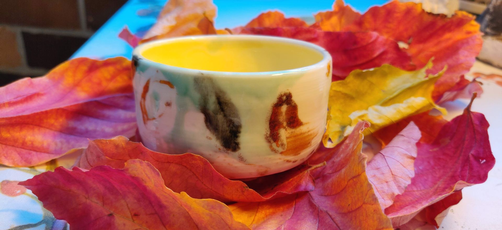 Stephanie Köstering: herbstfarbenes Laub auf weißer Schüssel