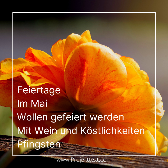 Nicole Isermann Elfchen zu Wein-Pfingsten in der Preußenallee von Charlottenburg-Westend in Berlin.