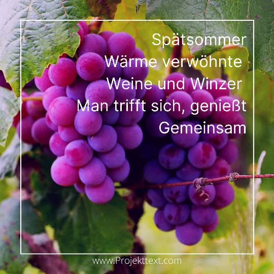 Nicole Isermann Elfchen zum Wein- und Winzerfest Lichtenrade am idyllischen Dorfteich Lichtenrade von Tempelhof-Schöneberg in Berlin immer am zweiten September-Wochenende.