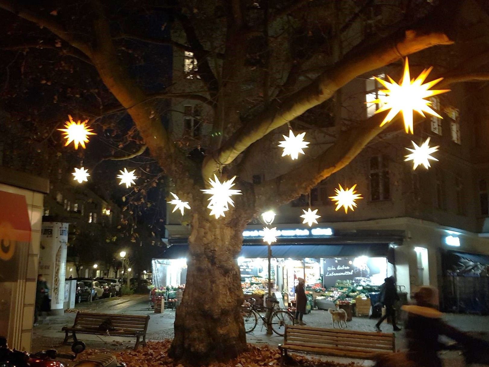Herrnhuter Sterne in der Platane der Leonhardtstraße Die Herrnhuter Sterne hängen jedes Jahr in der großen Platane der Leonhardtstraße in Berlin-Charlottenburg.