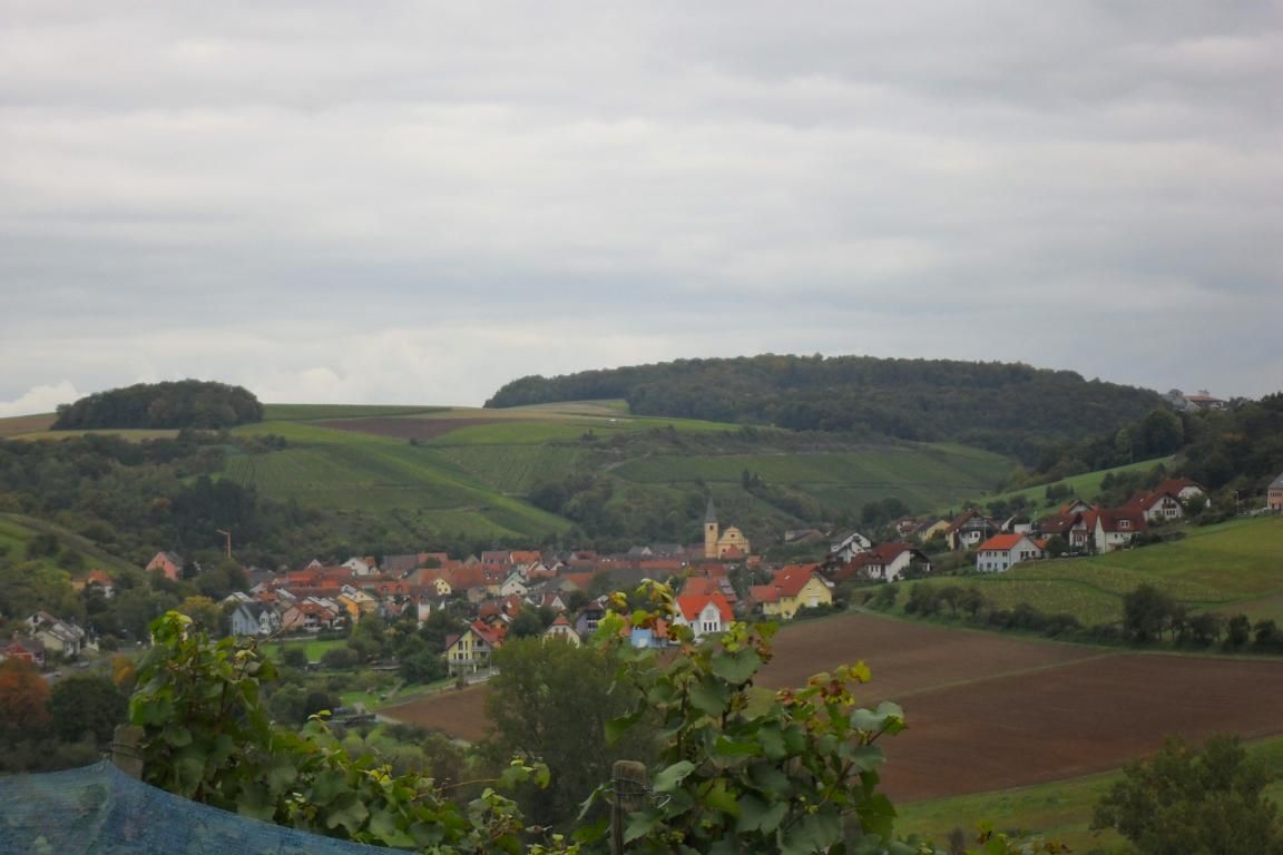 Das Weingut der Winzerfamilie Koch aus Franken wohnt idyllisch zwischen Würzburg und Karlstadt.