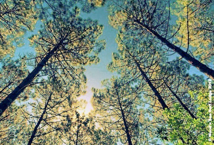 Randonnées Pays Basque