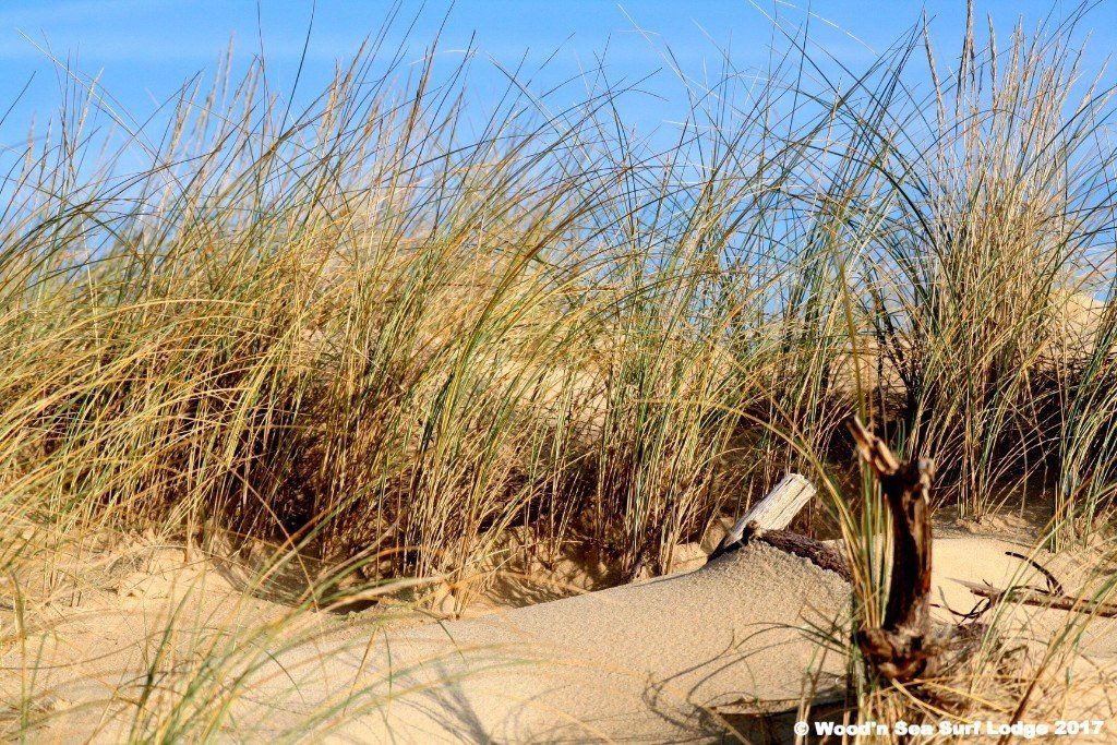 Surf House Capbreton