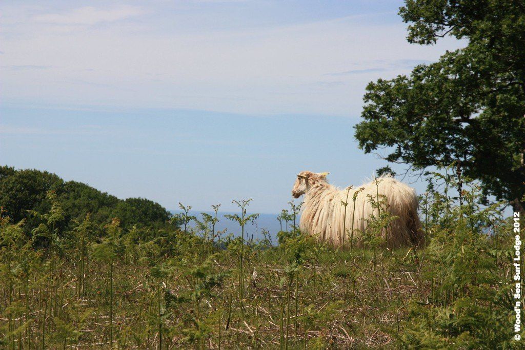 Rando Pays Basque