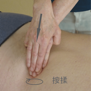 An Rou an der Rückenmuskulatur Tuina-Massage, manuelle Therapie aus der TCM, Beschwerden am Bewegungsapparat