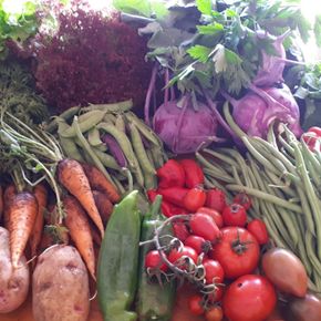 Frisches Gemüse als Medizin Ernährungstherapie, Essen als Medizin, Mikronährstoffe, Makronährstoffe