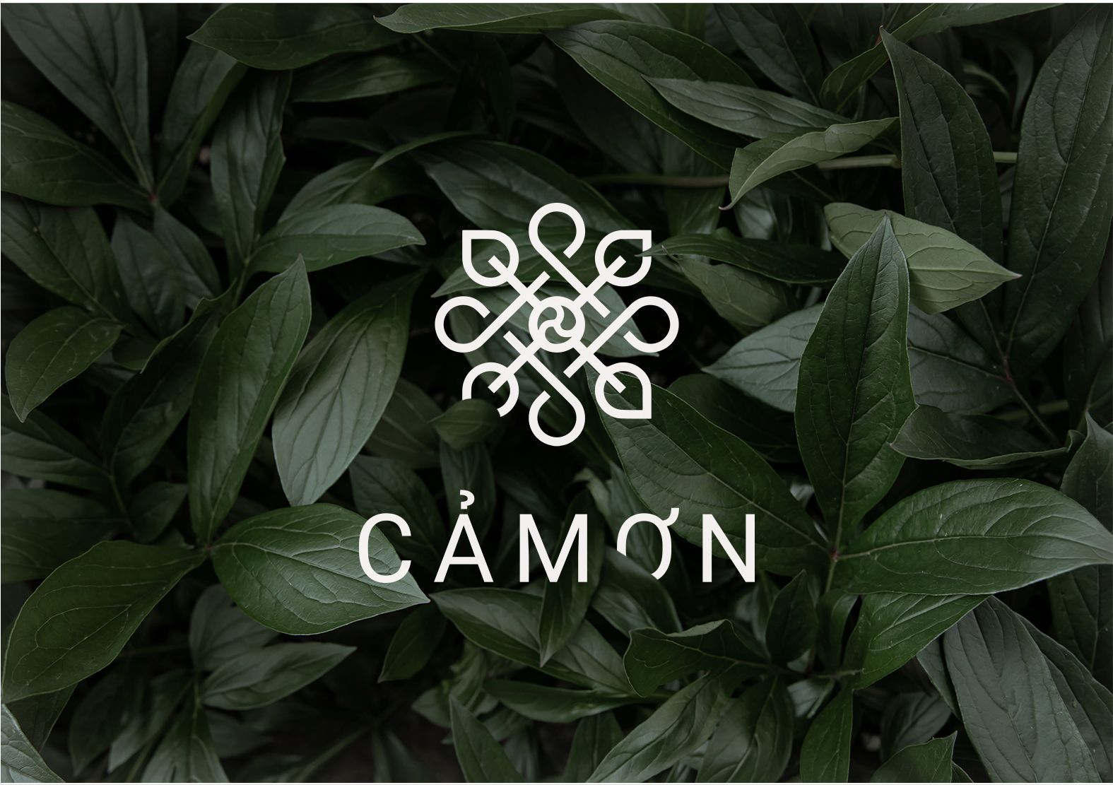 Camon Logo
