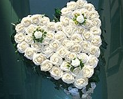 Ein geschlossenes Blumenhez mit cremeweißen Rosen passt auf die meisten Hochzeitsautos. Hochzeits-Autoschmuck Bilder