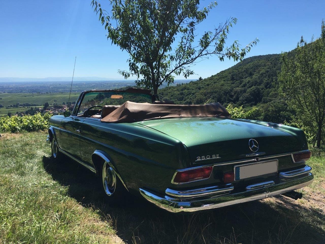 Das Mercedes W 111 Cabrio: Langgestrecktes, schlankes und rankes Design. Mercedes Oldtimer-Vermietung