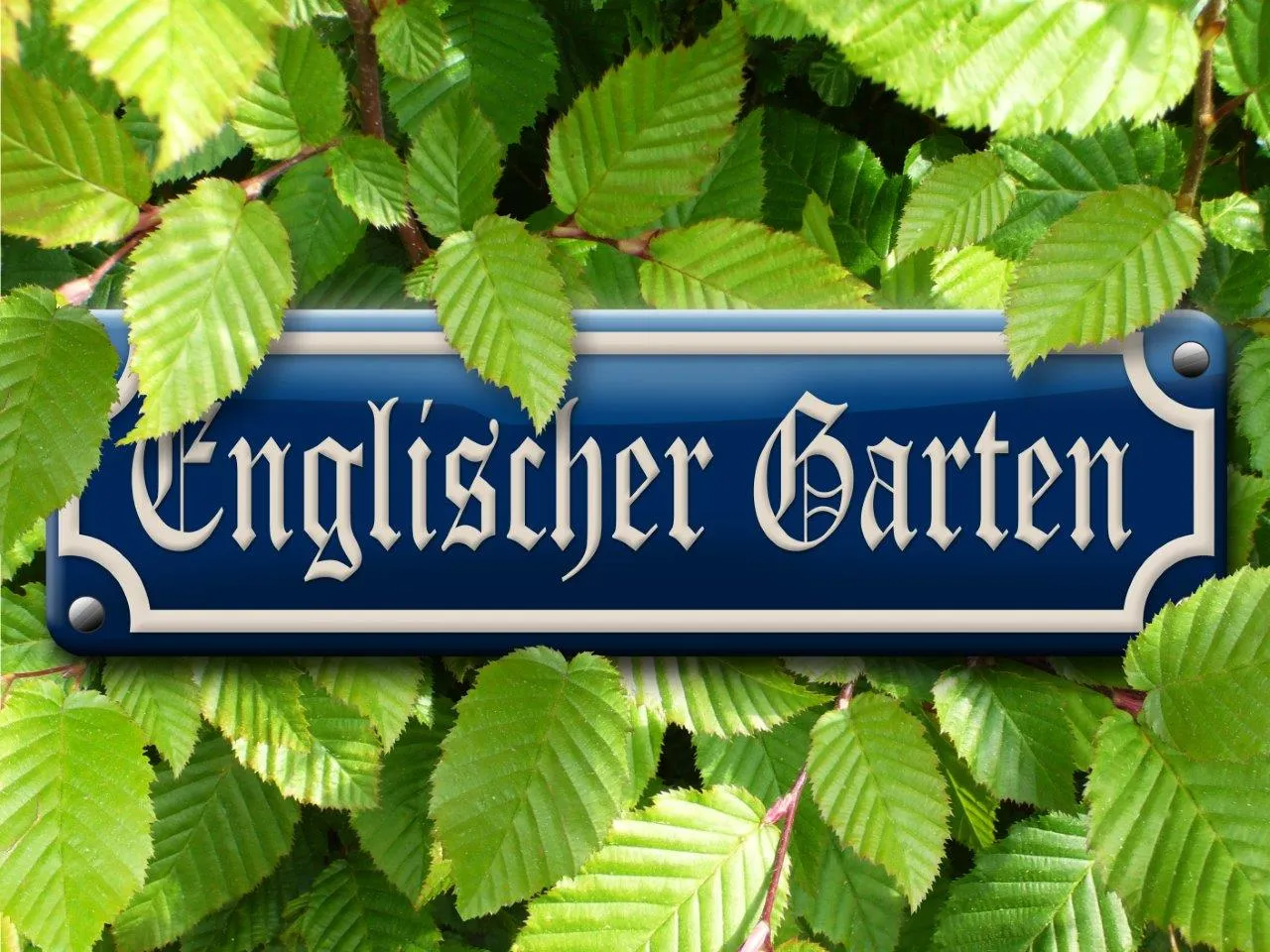 So hat alles angefangen: Meine Liebe zu alten Autos. Oldtimer mieten Hochzeit Hochzeitsauto