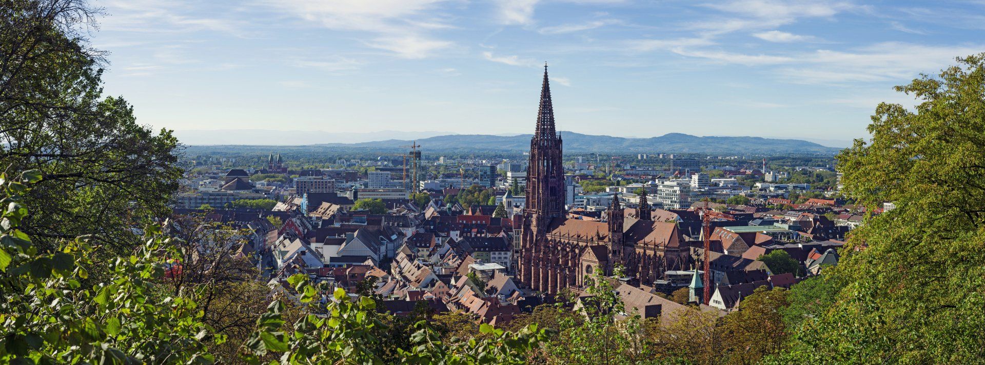 Blick über Freiburg auf Freiburgs Wahrzeichen, das Münster. Im Hintergrund die Berge der Vogesen. Oldtimer mieten Freiburg Hochzeitsauto