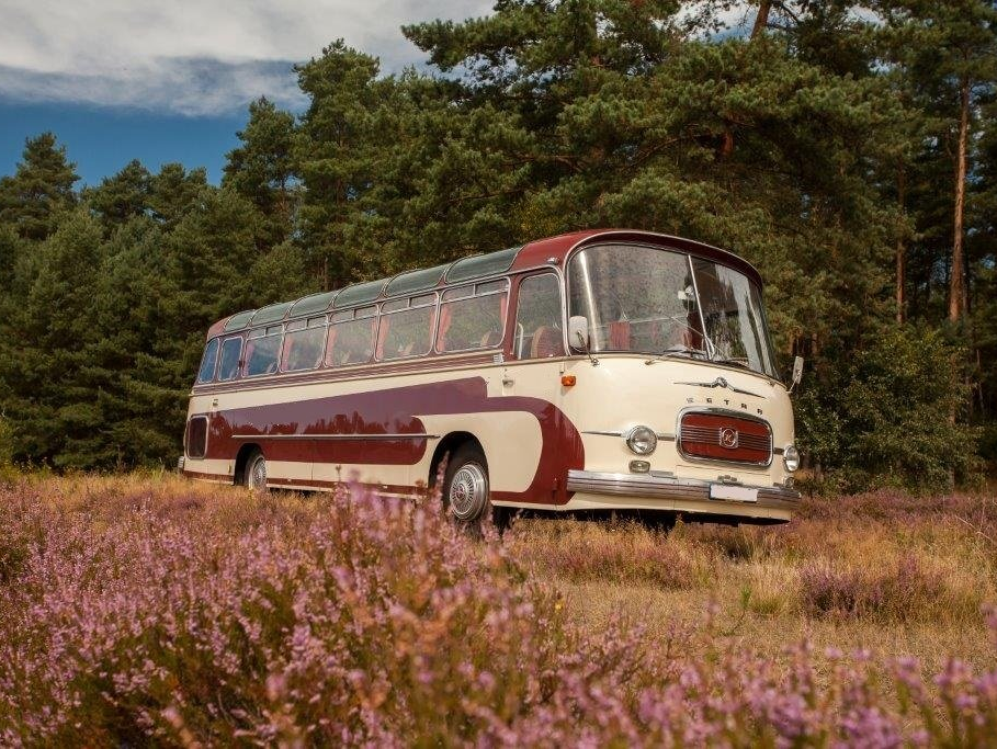 Hier ein großer Bus für 40 Fahrgäste, Standort in der Nähe von Hamburg, auf der Fahrt durch die Lüneburger Heide. Oldtimerbus mieten Hamburg