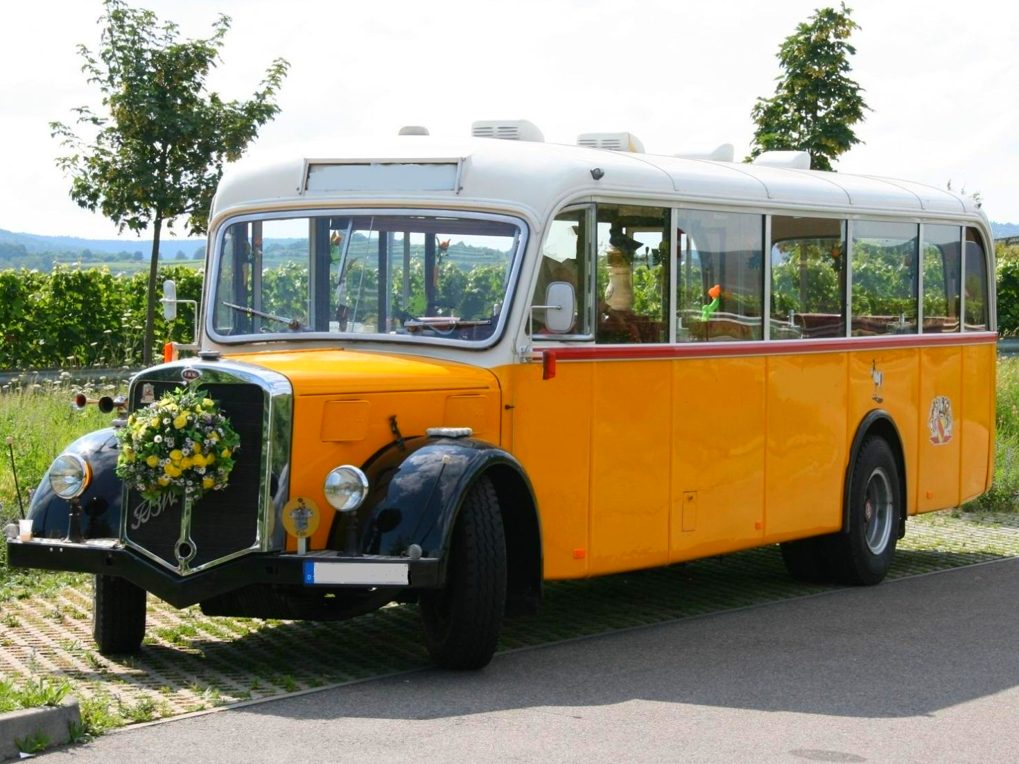 Einen Schweiizer Odtimer-Postbus mieten: Im ersten Leben fuhr der Oldtimerbus aus der Schweiz Briefe und Pakete die Alpenpässe rauf und ruter. Heute sind es die Weinberge, die erobert werden wollen, um den Gästen ein schönes Erlebnis zu bieten. Sie mieten den Oldtimerbus entlang der Weinstraße zum Beispiel in Edekoben, Rhodt unter der Rietburg, Burrweiler, Gleisweiler und Frankweiler. Oldtimerbus mieten Edenkoben Rhodt Burrweiler Gleisweiler Frankweiler