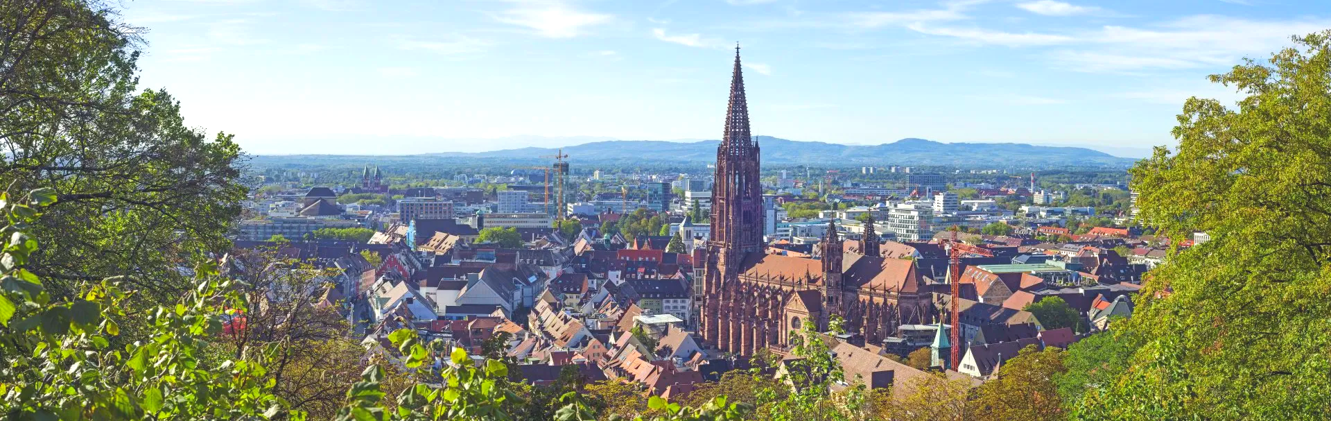 Einen Oldtimerbus mieten für eine Hochzeit in Freiburg und Umgebung, von Freiburg in den Schwarzwald bis nach Villingen-Schwenningen und Donuaueschingen, und bis Offenburg, Lörrach und ins Elsass. Oldtimerbus mieten Freiburg Hochzeit