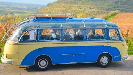 Oldtimerbus mieten Freiburg: Oldtimerbusfahrt ins Freiburger Umland, hier an den schönen Kaiserstuhl. Den Oldtimerbus mieten Sie auch in Breisach und im Elsass von Colmar bis Straßburg. Oldtimerbus mieten Freiburg Kaiserstuhl Breisach Elsass Colmar Straßburg