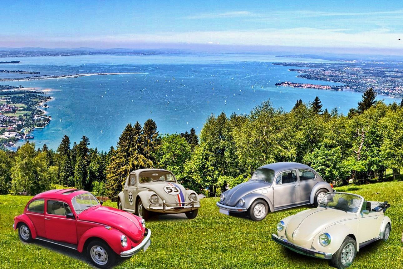 VW Käfer mieten Konstanz Bodensee Allgäu VW Käfer mieten Konstanz Bodensee