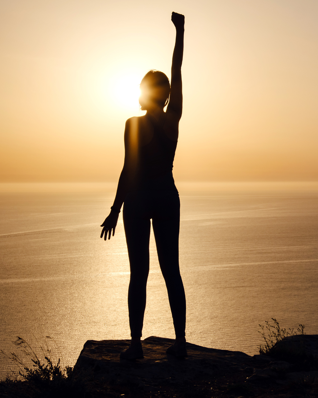 Programa de salud metabólica y nutrición personalizada de la Integrapeuta