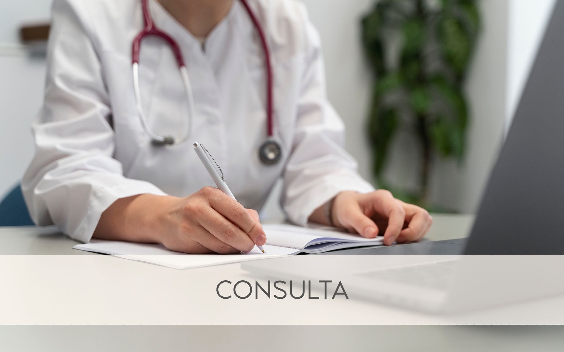 Consulta con la Integrapeuta