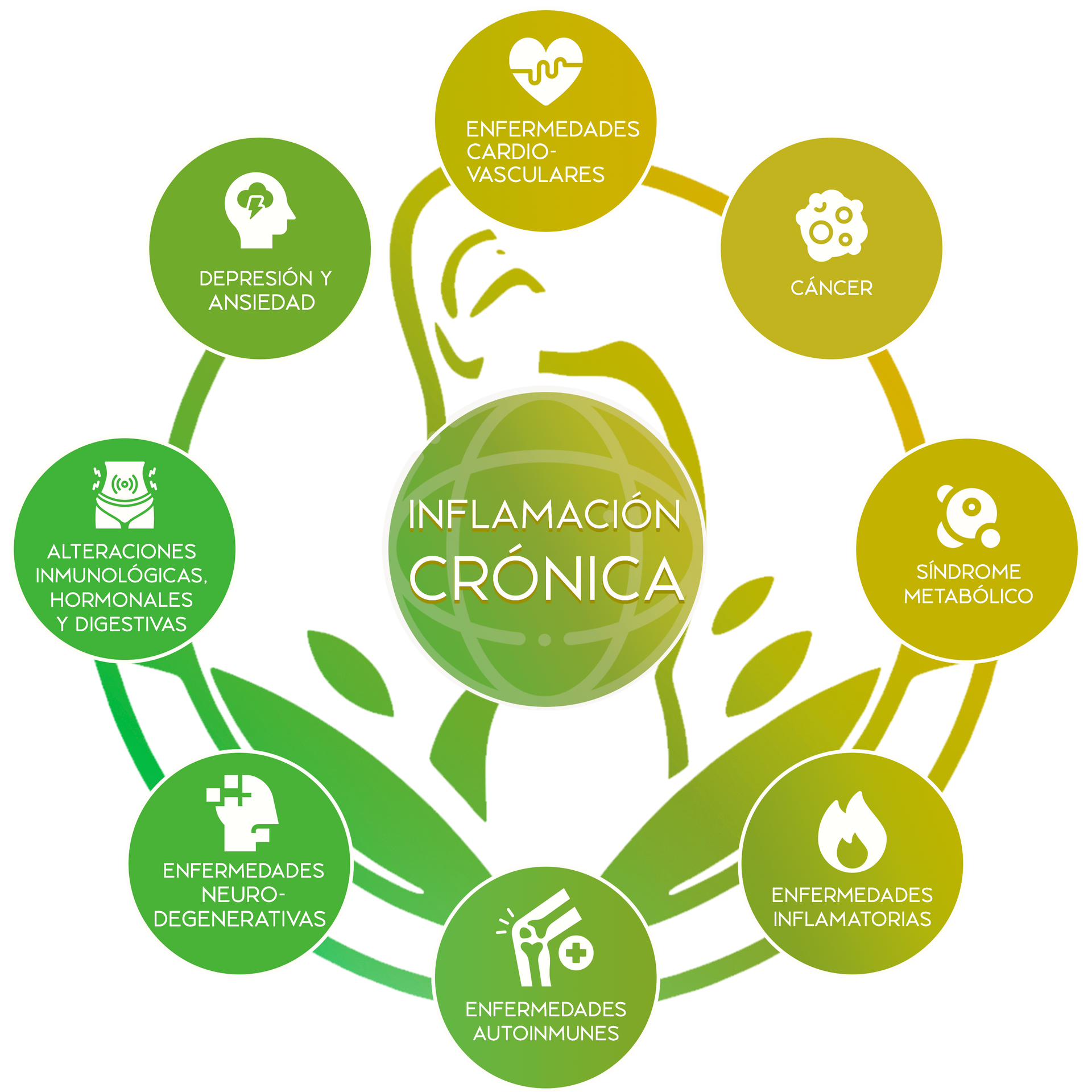 Síntomas y enfermedades causados por inflamación crónica