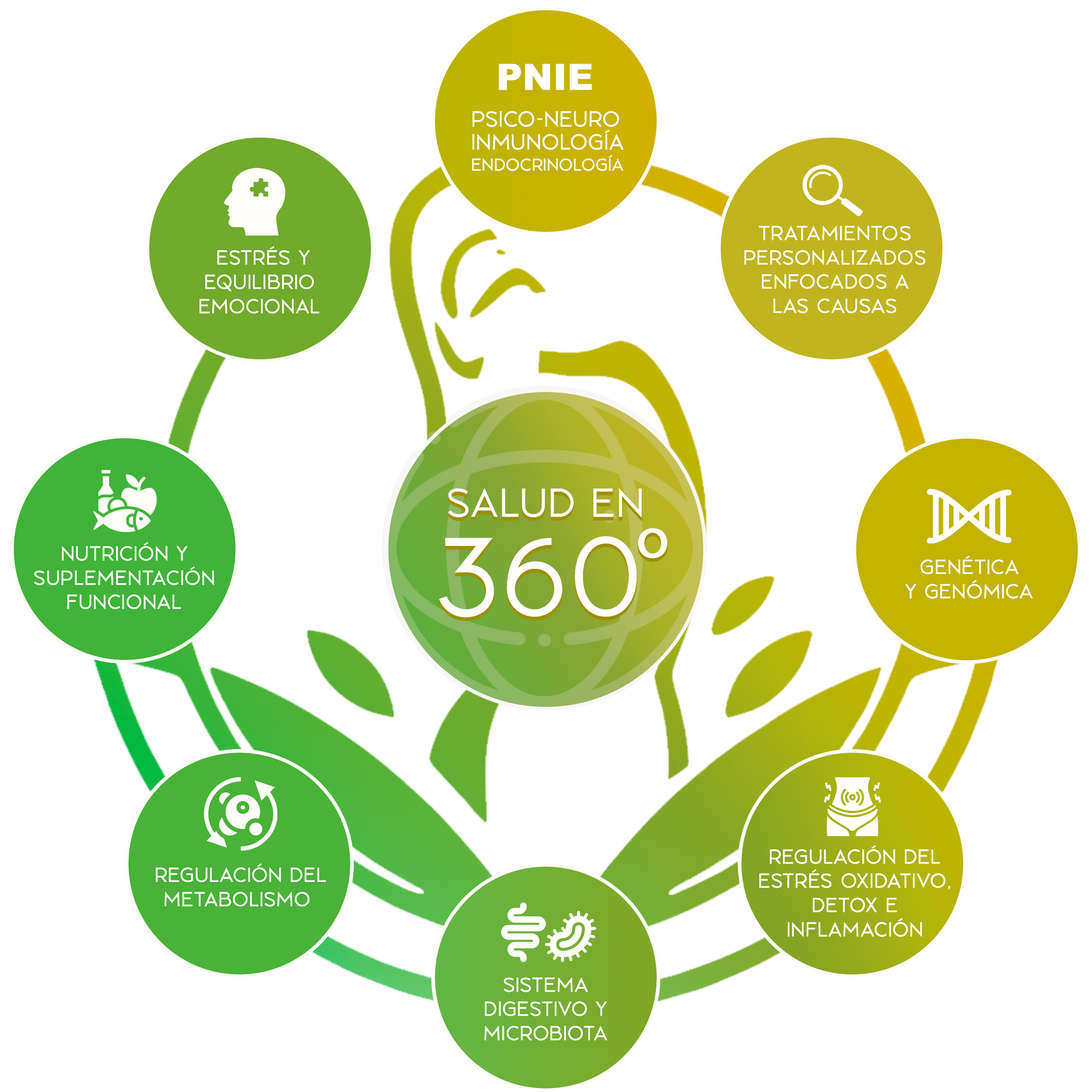 Medicina en 360 grados en la Integrapeuta