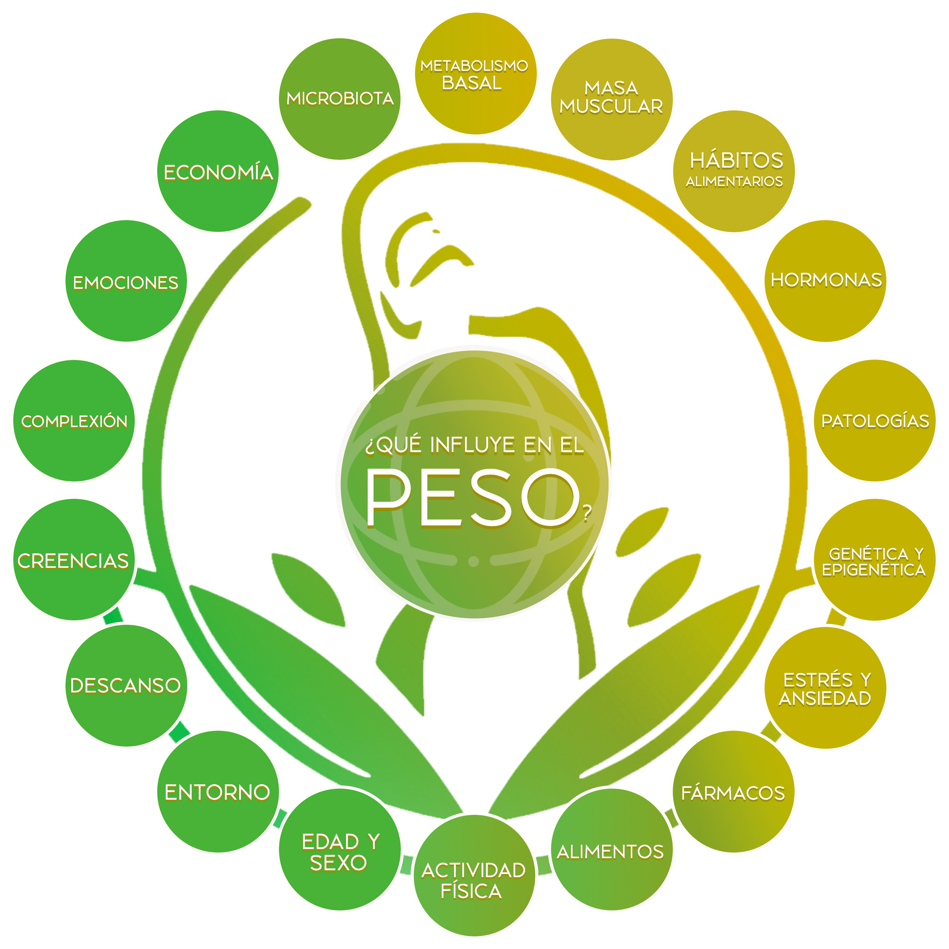 factores que influyen en el peso