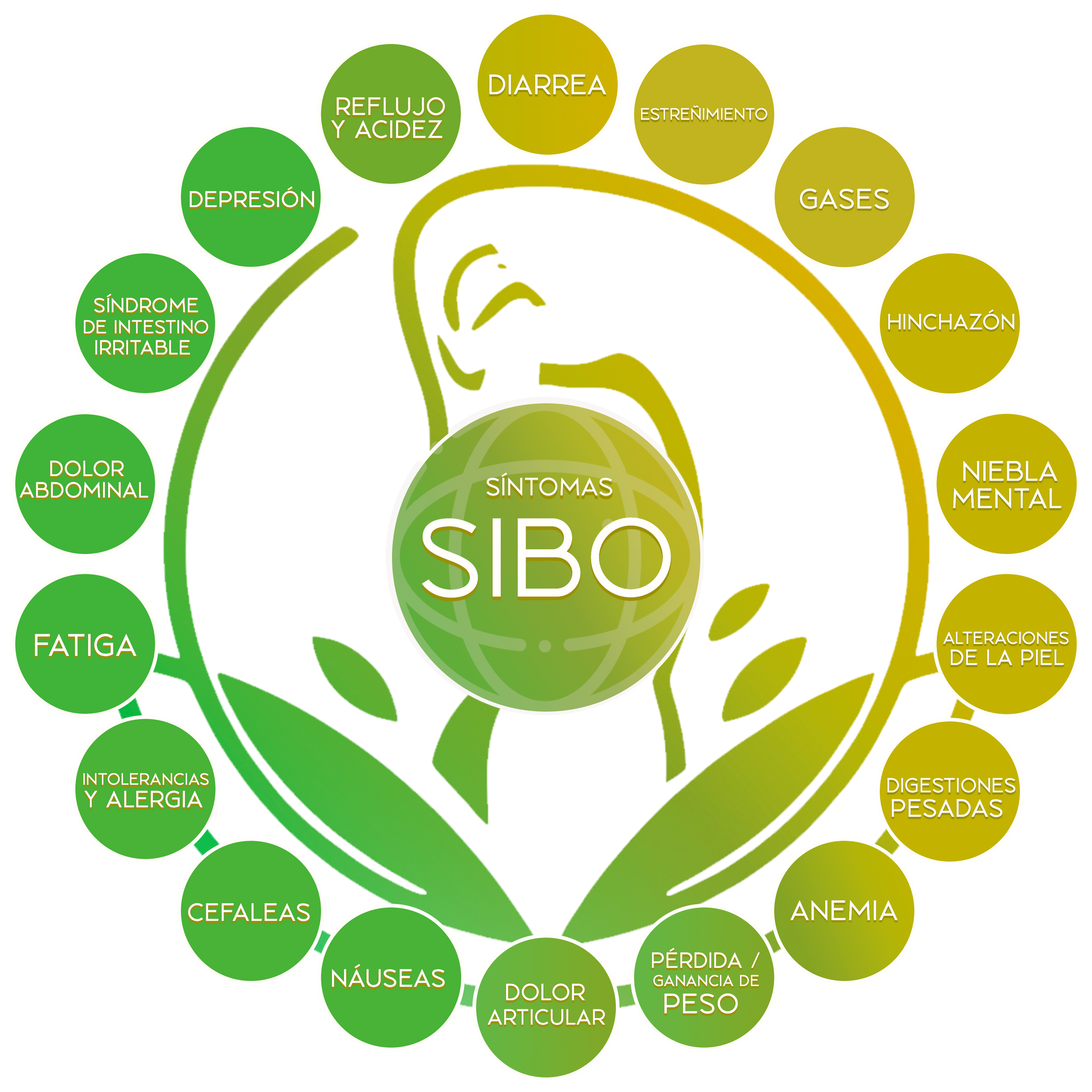 Síntomas de SIBO