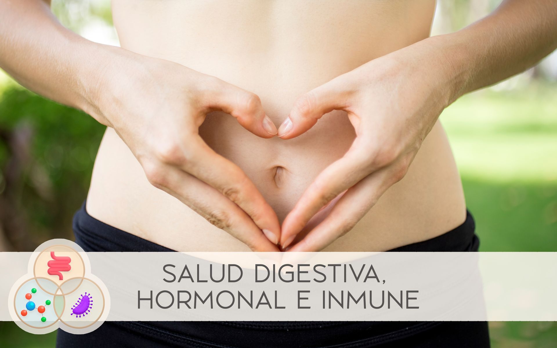 Programa de salud digestiva, hormonal e inmune de la Integrapeuta
