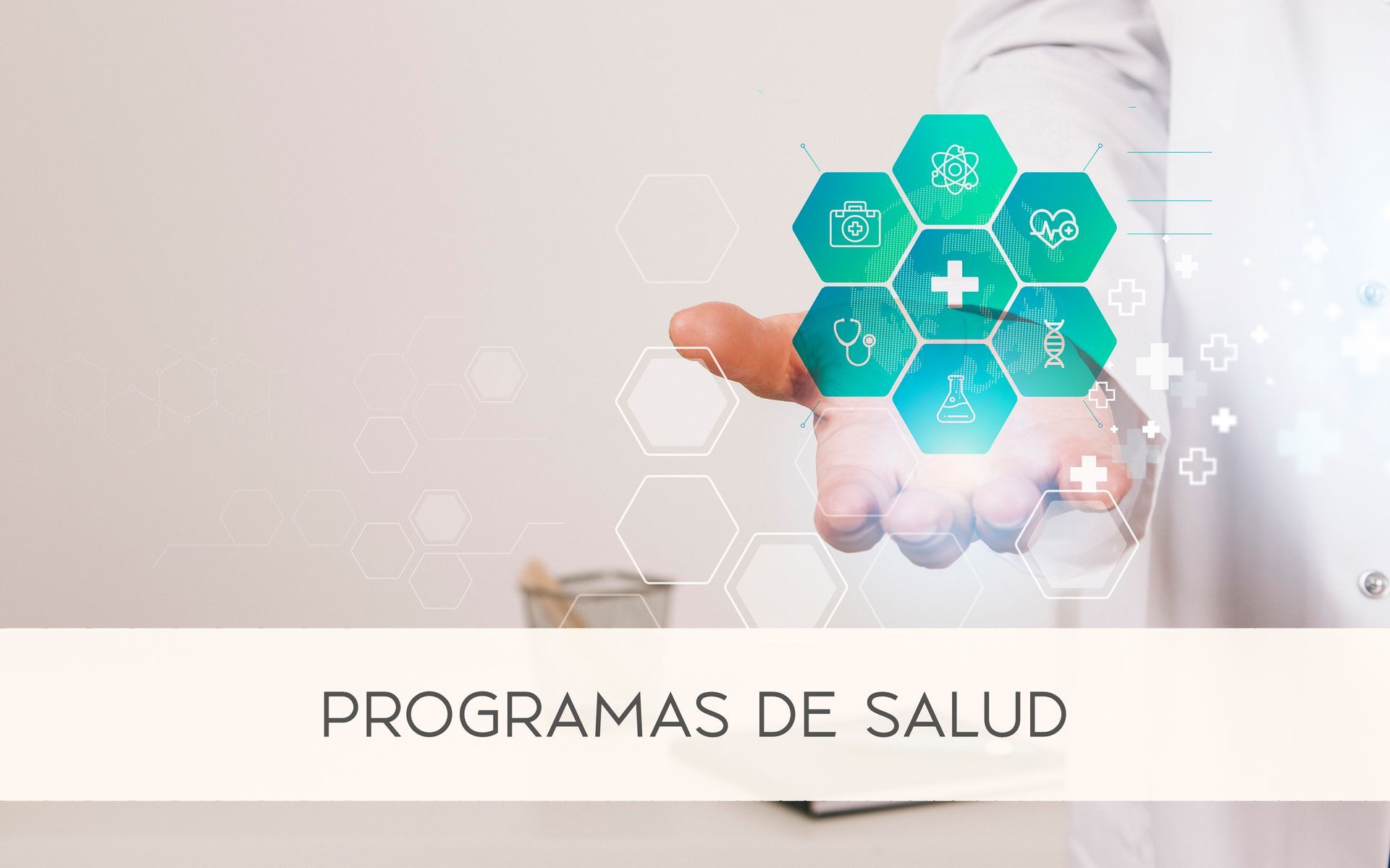Programas de salud en 360 grados de la Integrapeuta