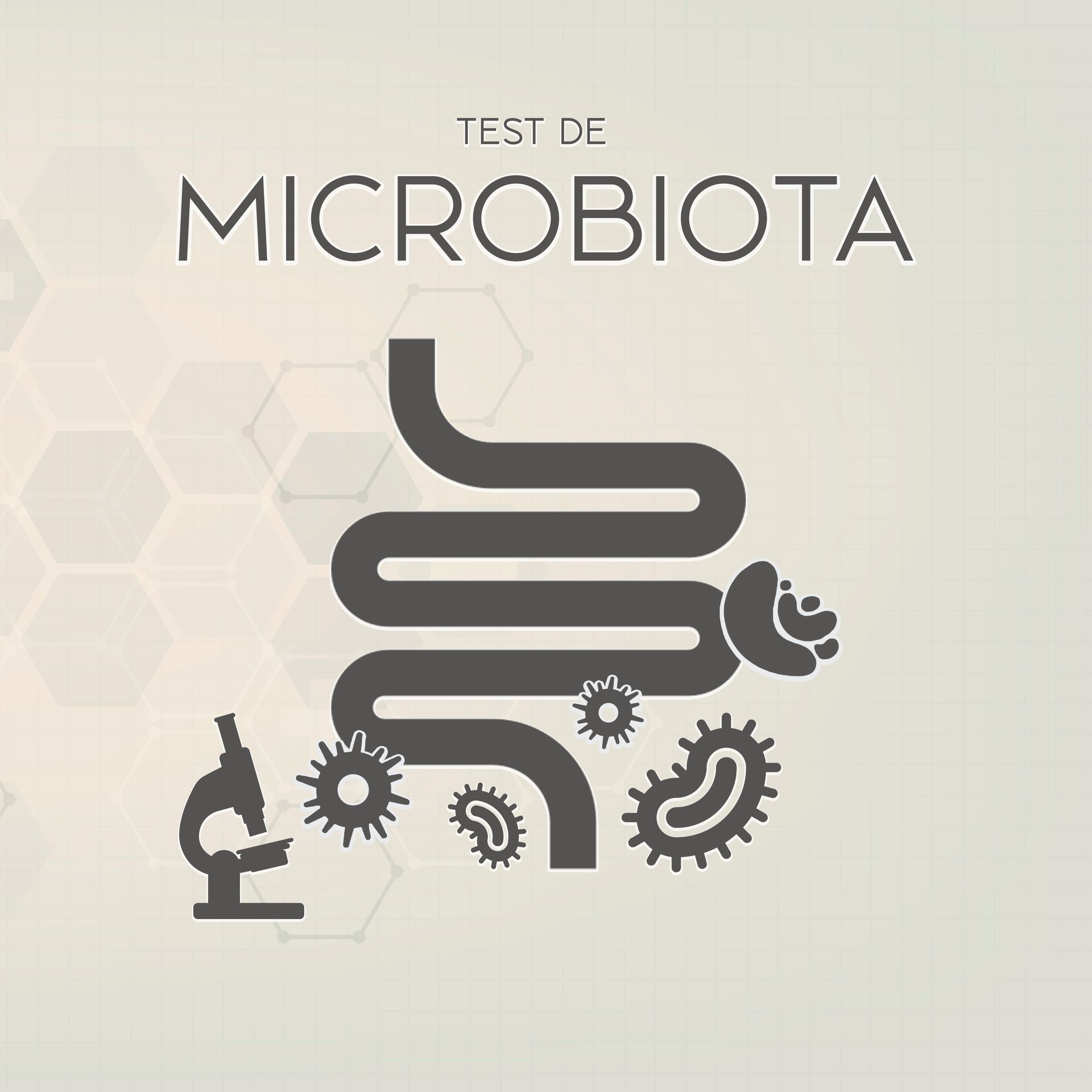 Programa de salud metabólica y nutrición personalizada de la Integrapeuta