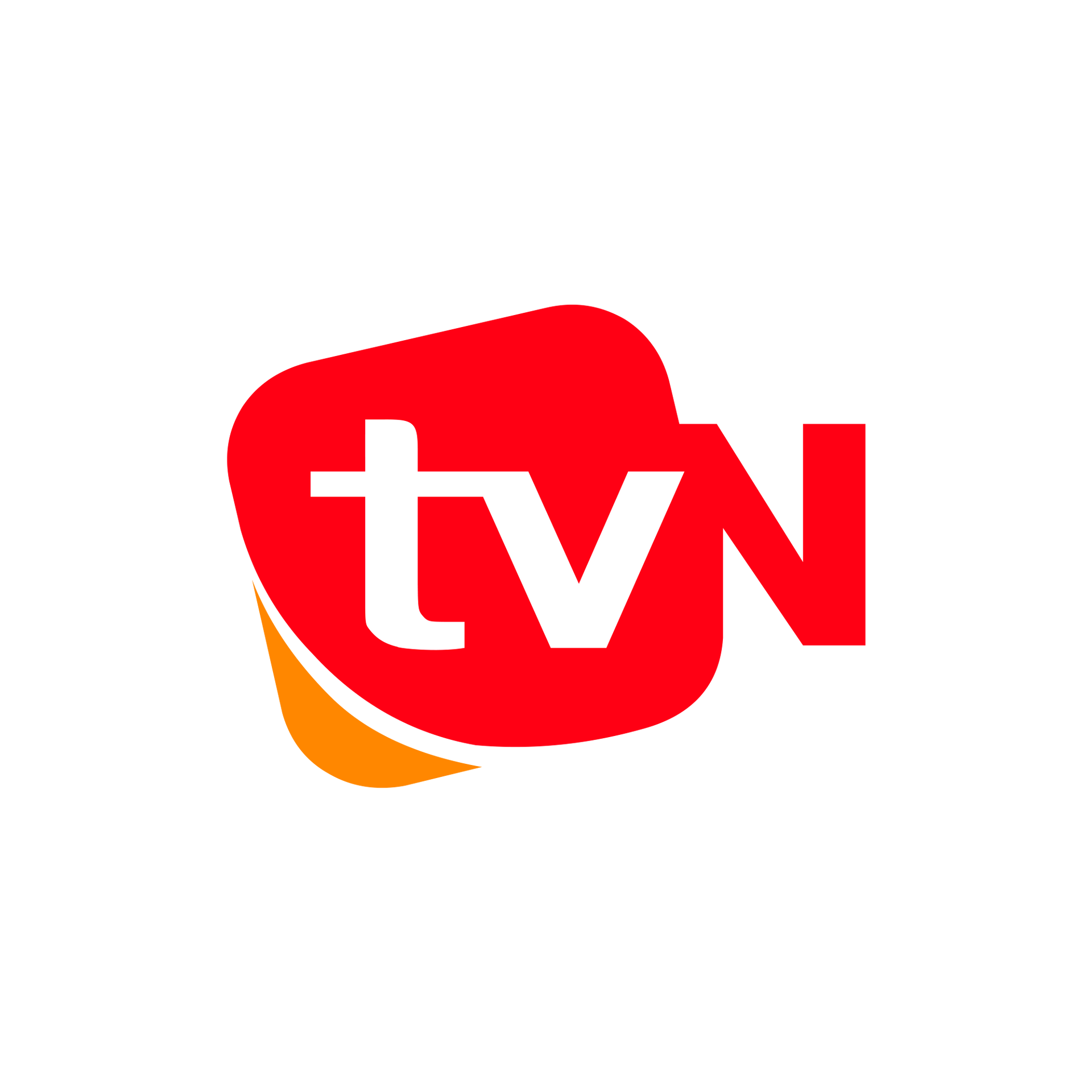 La Integrapeuta en Corea TV