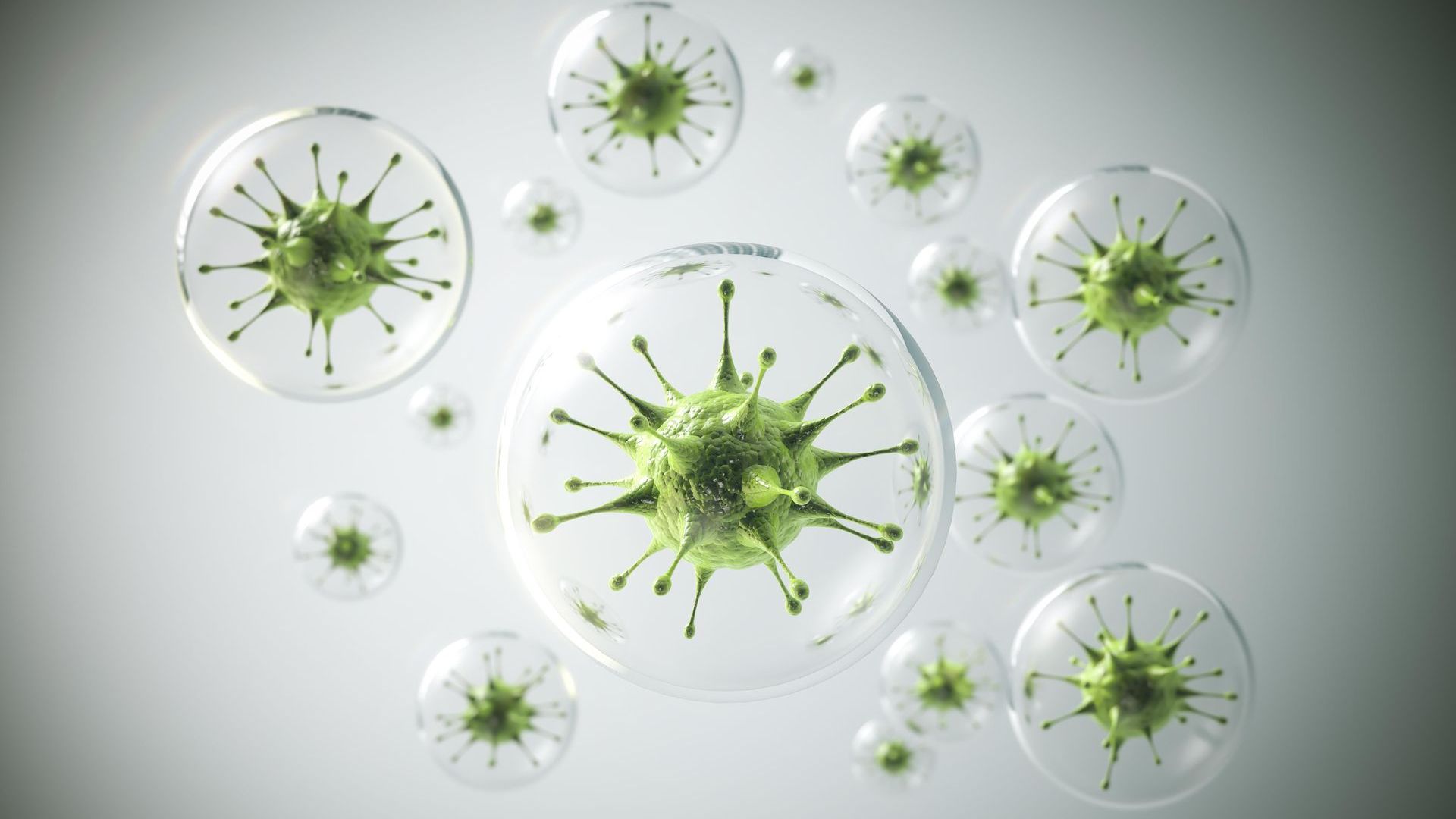 Patógenos, virus y bacterias. Sistema inmunológico