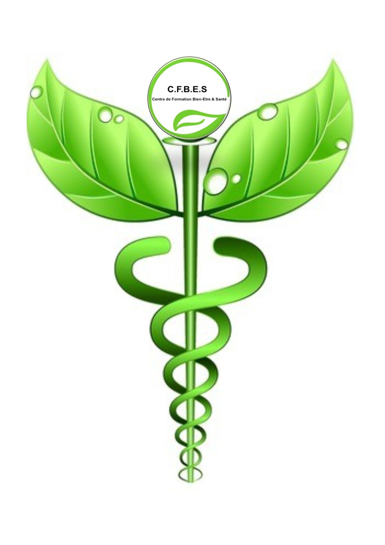 formations-cfbes-lamaison-des-synergies