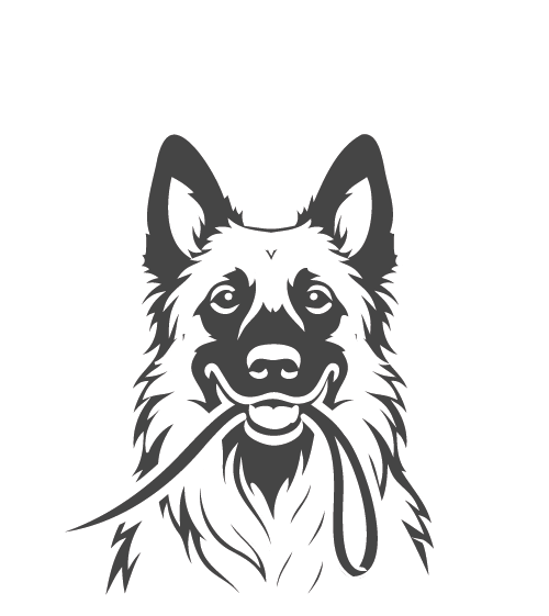 Hundeschule Mobiles Pfotentraining Langerwehe