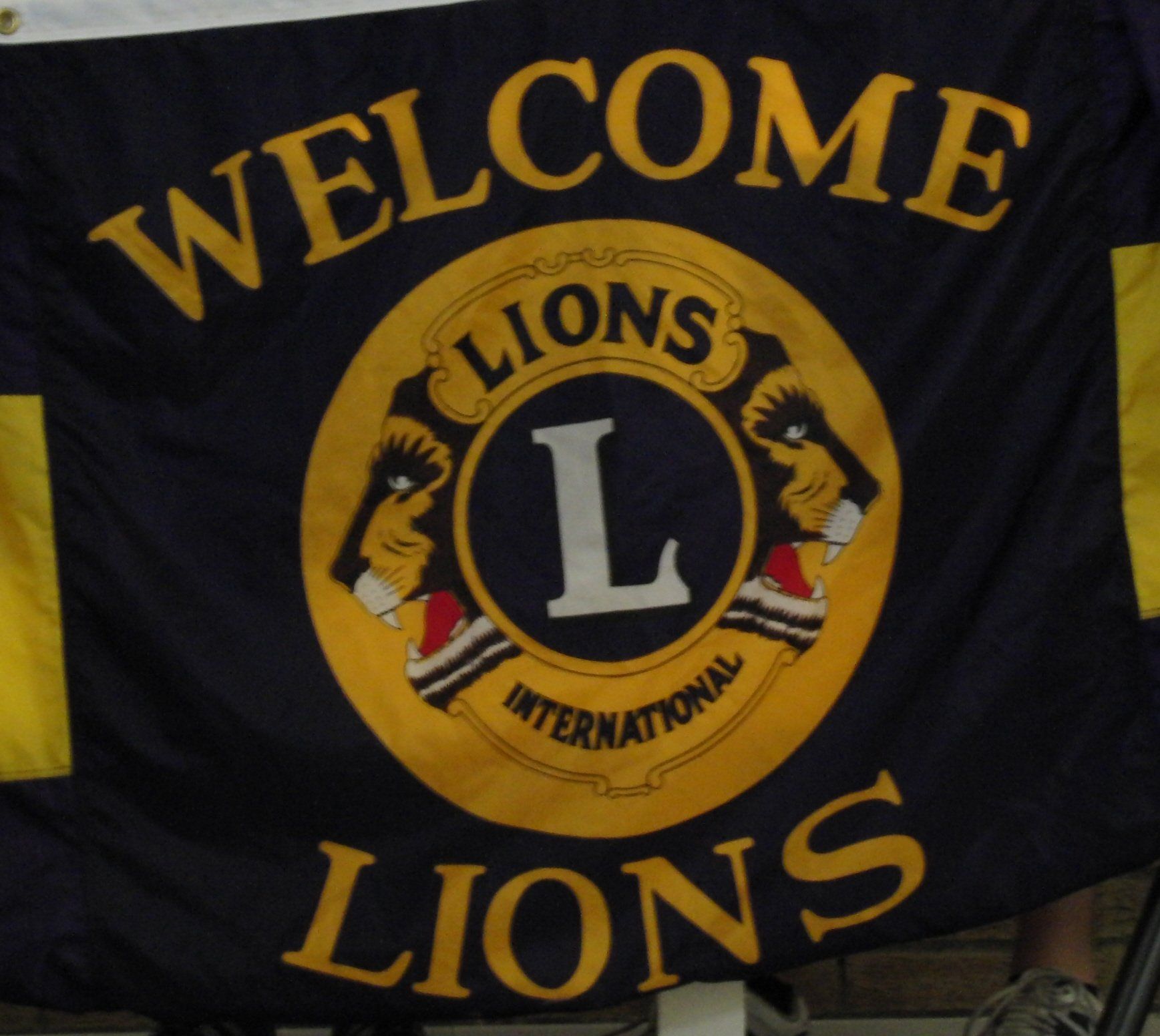 Lions banner