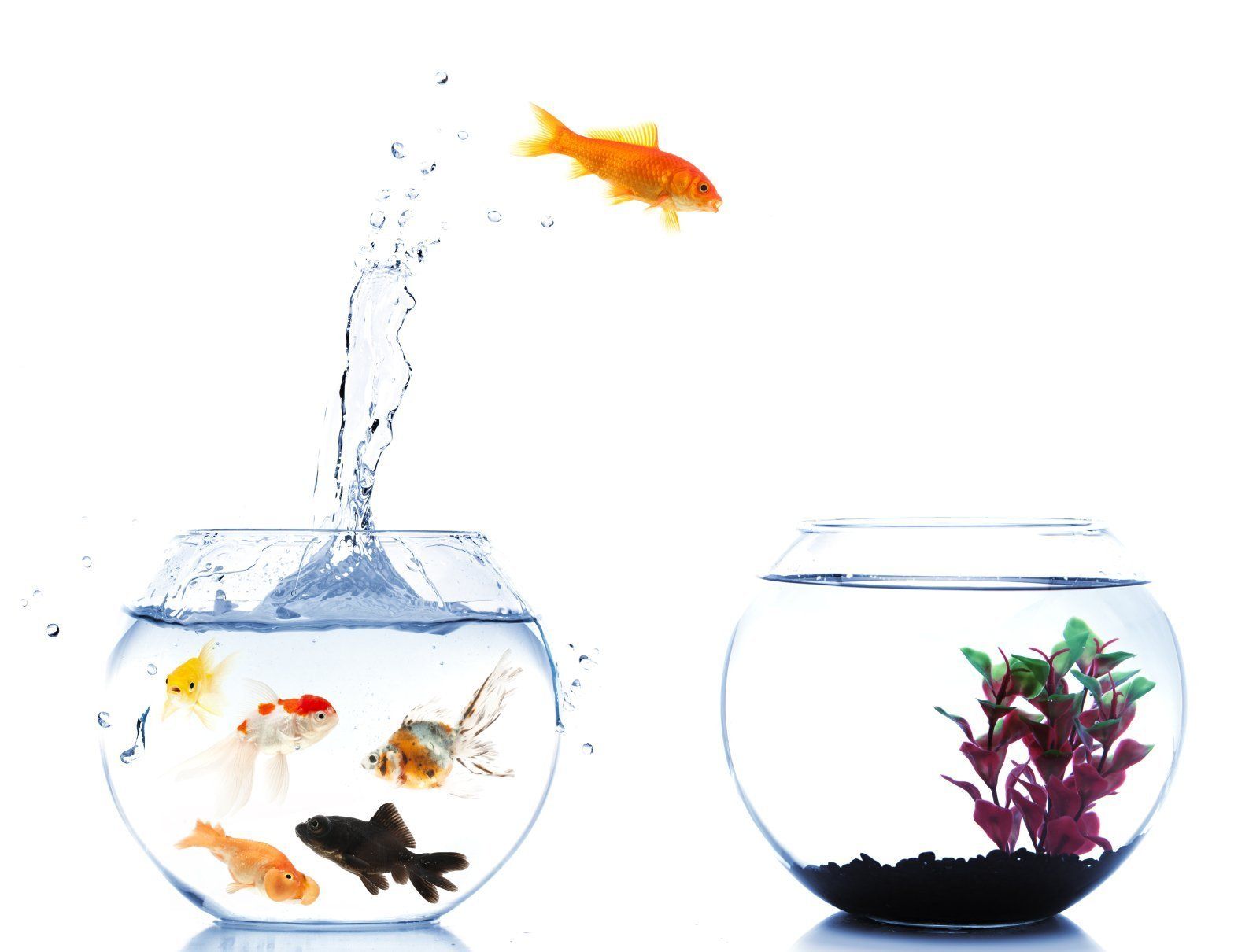 Veränderung