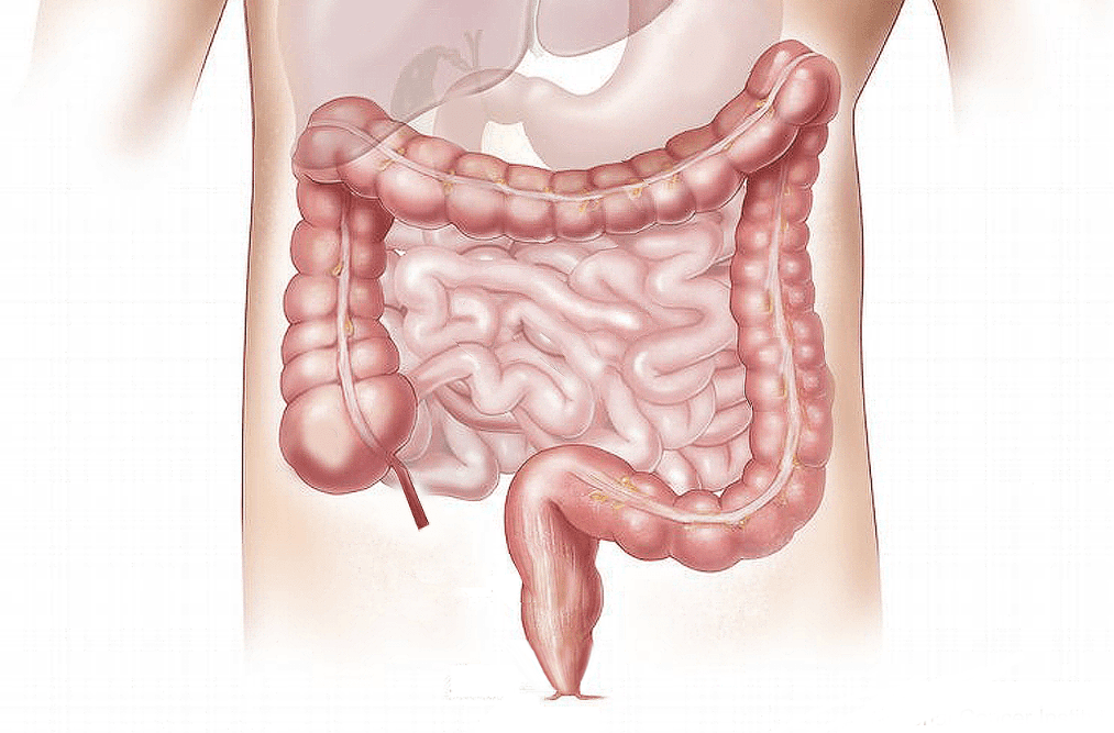 Colon-Hydro-Therapie Darmreinigung Meitingen