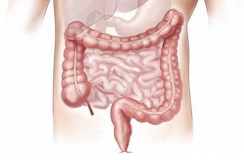 Colon-Hydro-Therapie Darmreinigung Meitingen