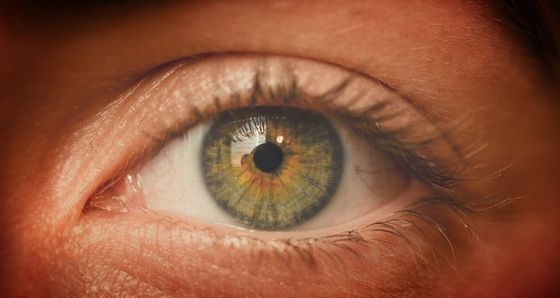 Irisdiagnose Augendiagnose Meitingen