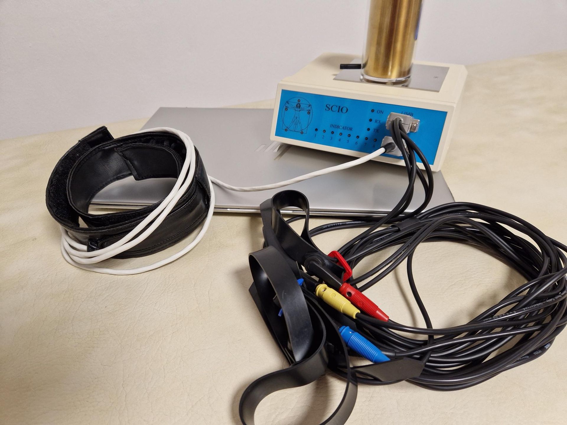 SCIO-Biofeedback/Bioresonanz Meitingen