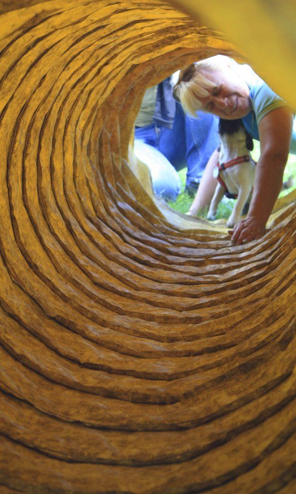 professionelle Hundetrainerin