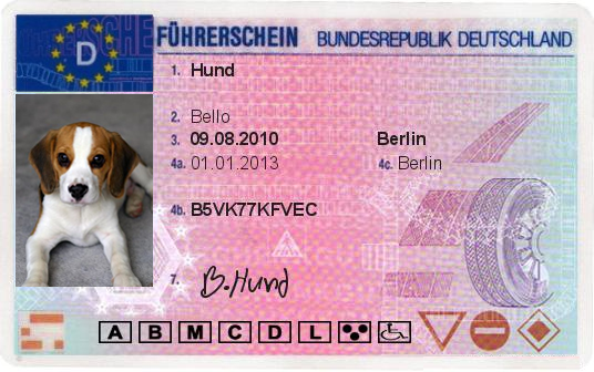 Hundeführerschein Forderseite