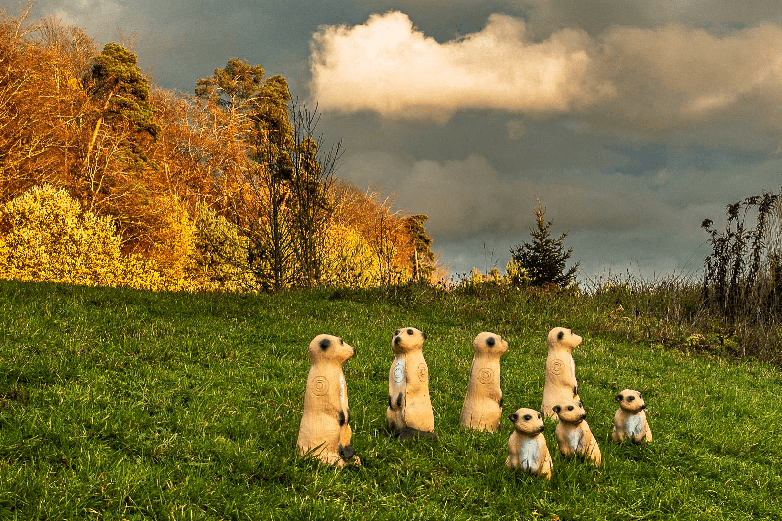 Fuerstliche Bogensportanlage Bad Waldsee, 3D Bogensportparcours, Bogenparcours, 3D Wiesenparcours, 3D Waldparcours, Feldparcours, Bogenkurse, 3D-Bogenschießen, Bogenschießen, Bogensport, Bogenschuetze, Einschießplatz, 4-Sterne-Hotel, Wohnmobilstellplatz, Bad Waldsee, Wohnwagen als Hotelzimmer, ueber 80 3D-Ziele