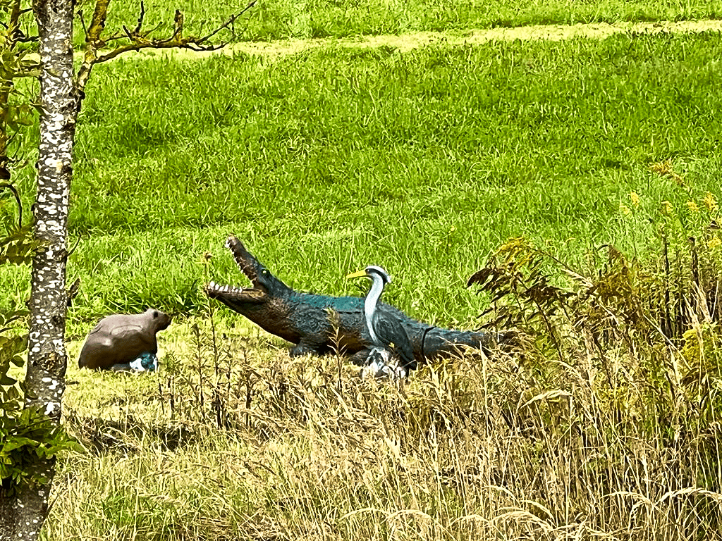 Fuerstliche Bogensportanlage Bad Waldsee, 3D Bogensportparcours, Bogenparcours, 3D Wiesenparcours, 3D Waldparcours, Feldparcours, Bogenkurse, 3D-Bogenschießen, Bogenschießen, Bogensport, Bogenschuetze, Einschießplatz, 4-Sterne-Hotel, Wohnmobilstellplatz, Bad Waldsee, Wohnwagen als Hotelzimmer, ueber 80 3D-Ziele