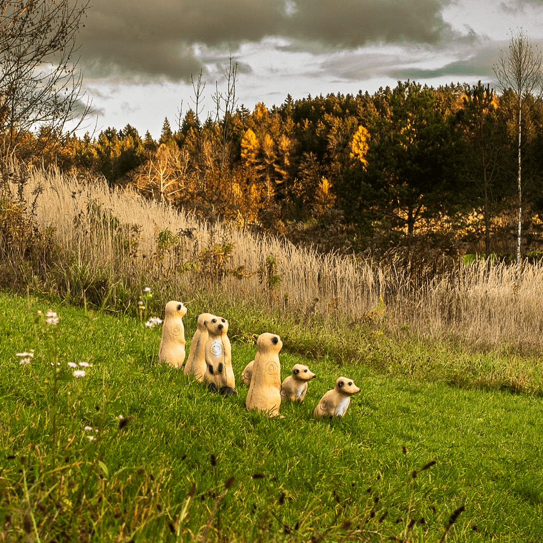 Fuerstliche Bogensportanlage Bad Waldsee, 3D Bogensportparcours, Bogenparcours, 3D Wiesenparcours, 3D Waldparcours, Feldparcours, Bogenkurse, 3D-Bogenschießen, Bogenschießen, Bogensport, Bogenschuetze, Einschießplatz, 4-Sterne-Hotel, Wohnmobilstellplatz, Bad Waldsee, Wohnwagen als Hotelzimmer, ueber 80 3D-Ziele