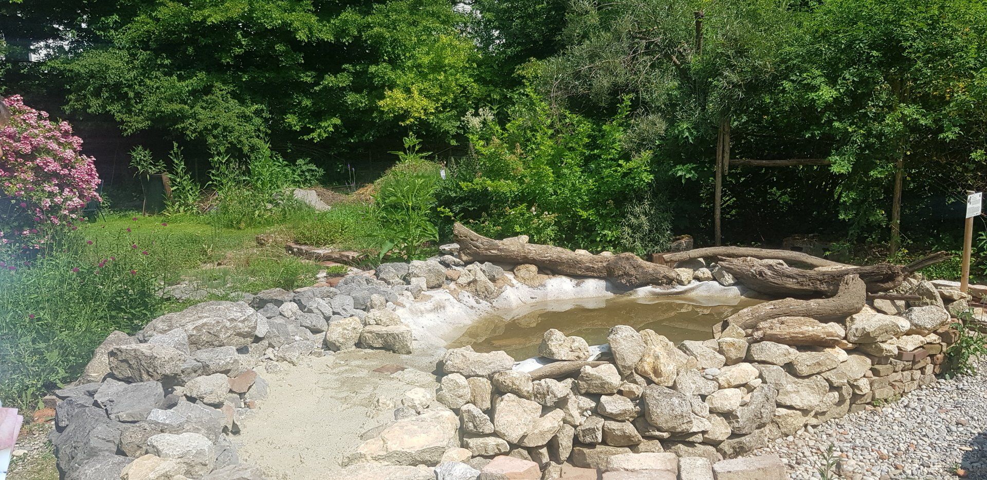 Creation of a pond for the Bufo viridis Creation of a pond for the Bufo viridis