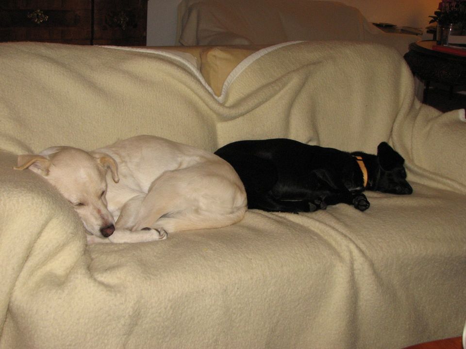 Sparen gegen Leistung? Sparen am falschen Ende?